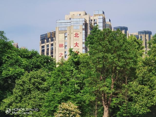 白天可打鸟晚上拍黑猫 ,超感光夜拍无敌,荣耀30 Pro拍照实测