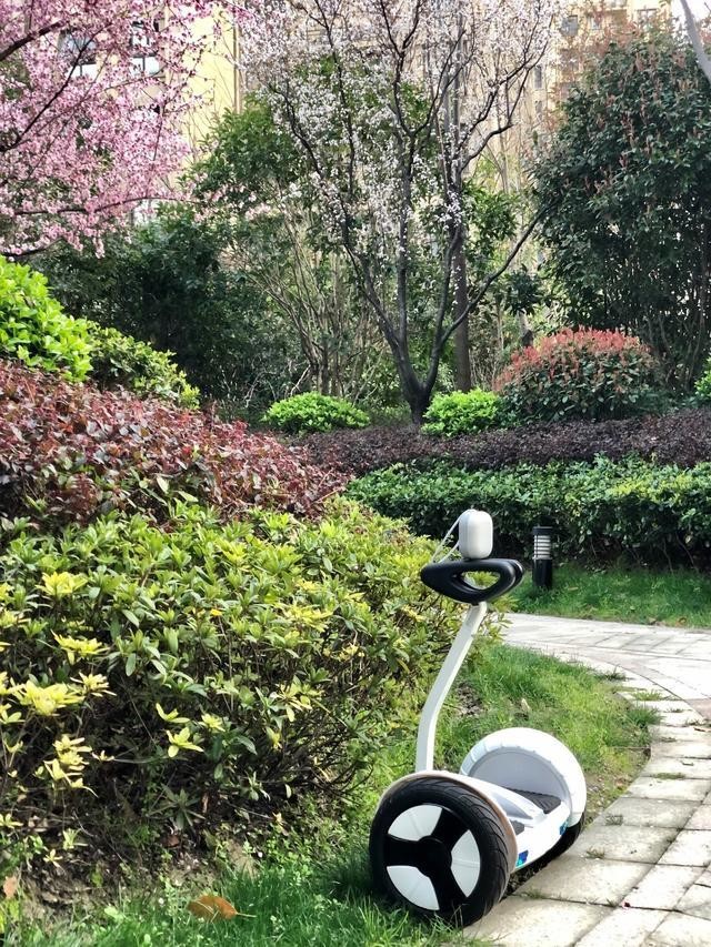 带上omthing音箱踏青去——omthing户外蓝牙音箱开箱初体验