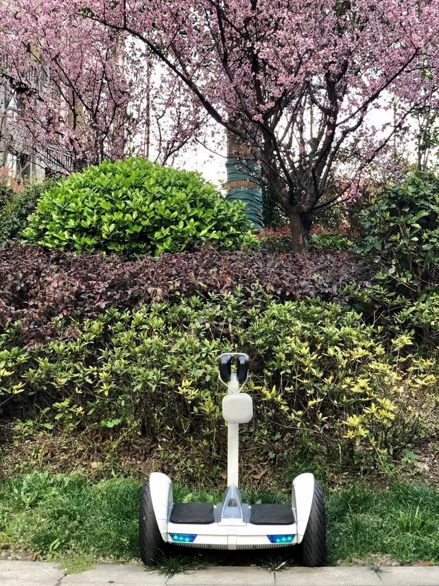 带上omthing音箱踏青去——omthing户外蓝牙音箱开箱初体验