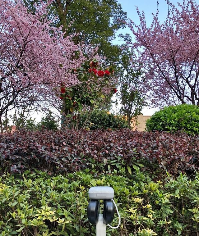 带上omthing音箱踏青去——omthing户外蓝牙音箱开箱初体验