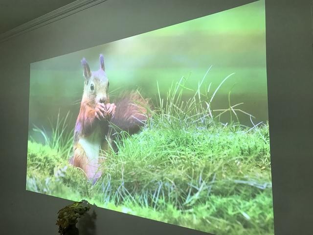 当贝f1智能投影仪真画质最出彩画面岂止于大