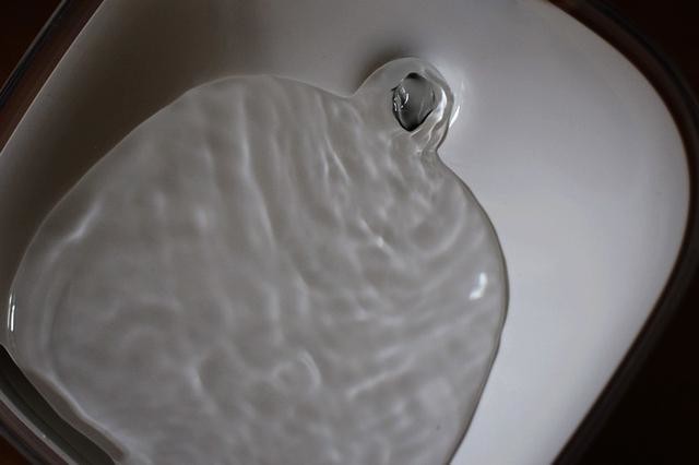 铲屎官的福利来了 小顽智能宠物饮水机