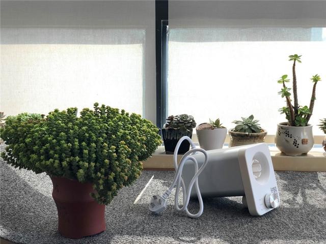 开水、温水,想喝就喝,不需等待——AirSoda迷你即热饮水机评测