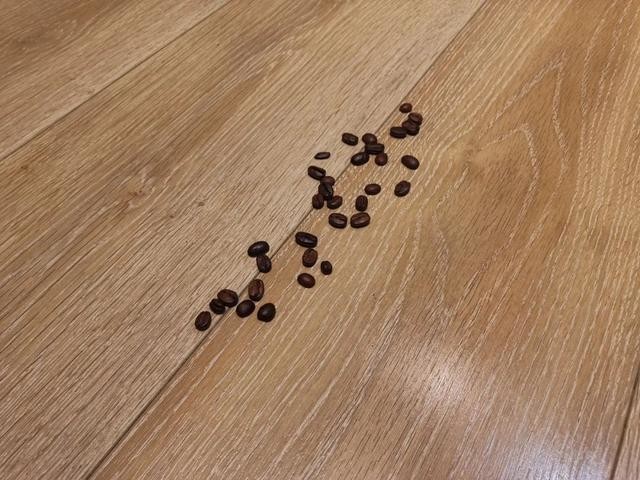 9󳡾ʵʲԣ׷V11ʵʹø