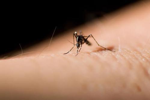 无公害天然驱蚊虫,1次充电击杀蚊虫3700次