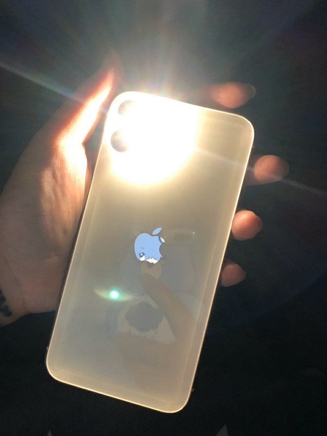 拥有的第一款刘海屏iphone11的5天体验感
