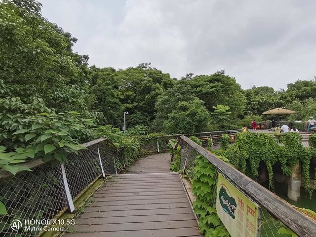 荣耀X10超能旗舰评测:5G+性能+设计+影像,哪点更吸引你?
