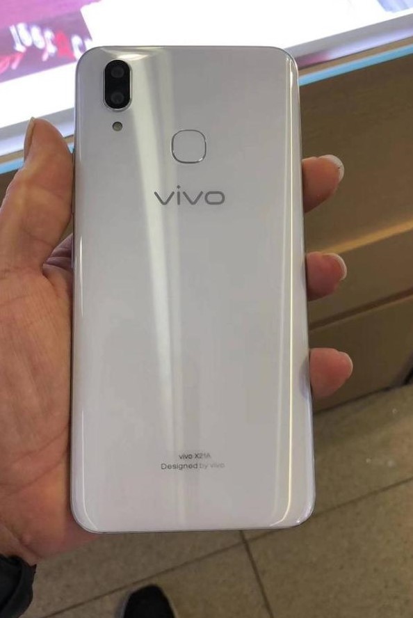 欧美同性vivox21图片