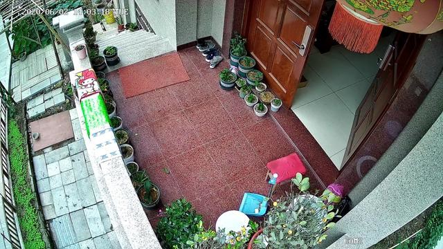 老家新居装上九安监控搭配西部数据紫盘,自己动手安装并不难
