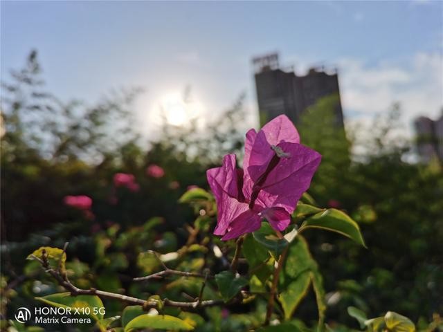 荣耀X10挑战多种极限拍摄场景:RYYB高感光真强大