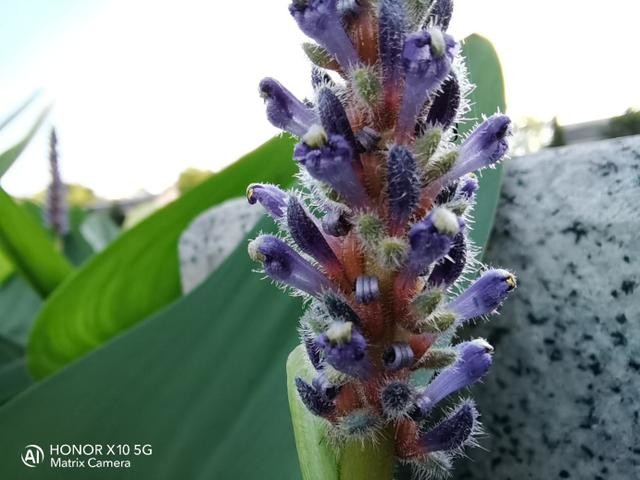 荣耀X10挑战多种极限拍摄场景:RYYB高感光真强大