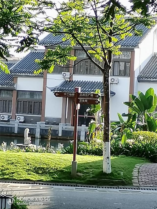 荣耀X10挑战多种极限拍摄场景:RYYB高感光真强大