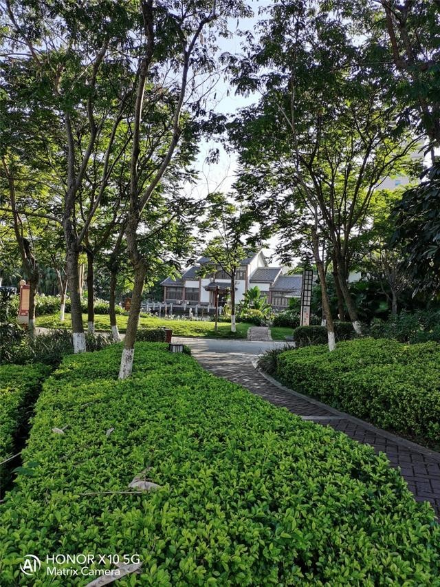荣耀X10挑战多种极限拍摄场景:RYYB高感光真强大