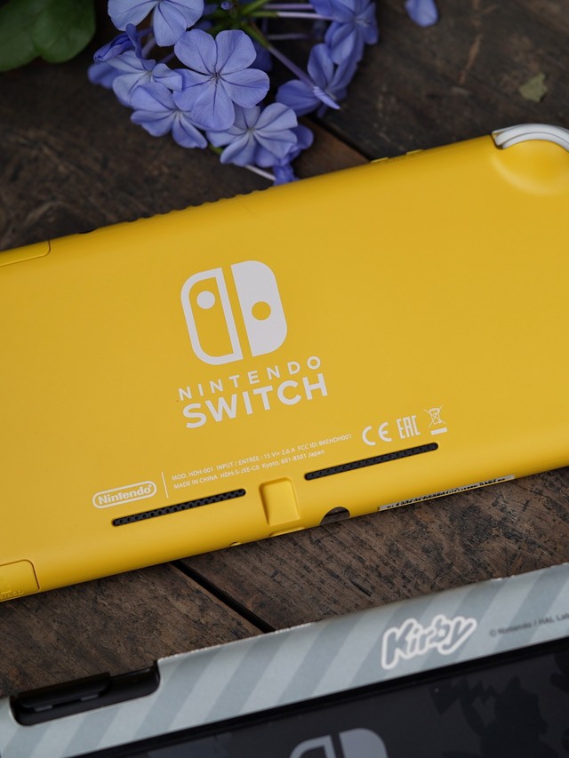 入手switchlite小黄打开新世界的大门