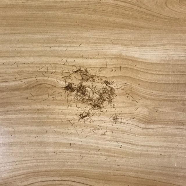 吸力强劲,高效除尘 360 X90扫地机器人帮你解决过敏问题