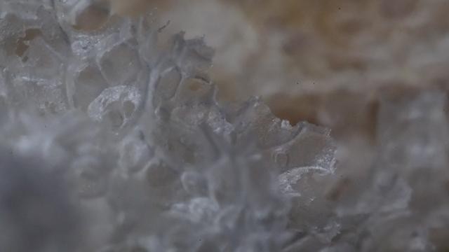 摄影必备品 - 百诺IT19三角架
