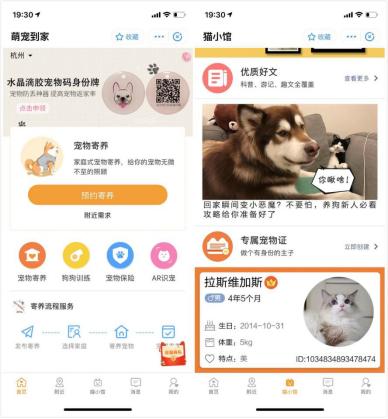 支付宝的圈粉小程序!一般人我可舍不得告诉他
