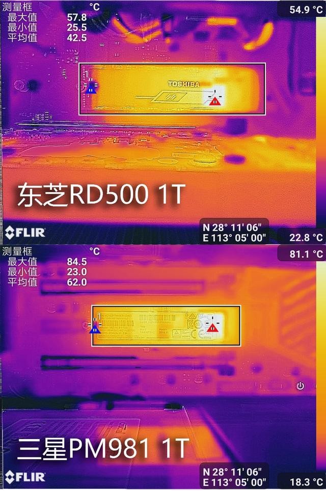 콢 PCIe 3.0 M.2ļǿ֥RD500 VS  PM981