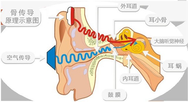 舒适佩戴,运动无极限-南卡骨传导运动蓝牙耳机Runner体验