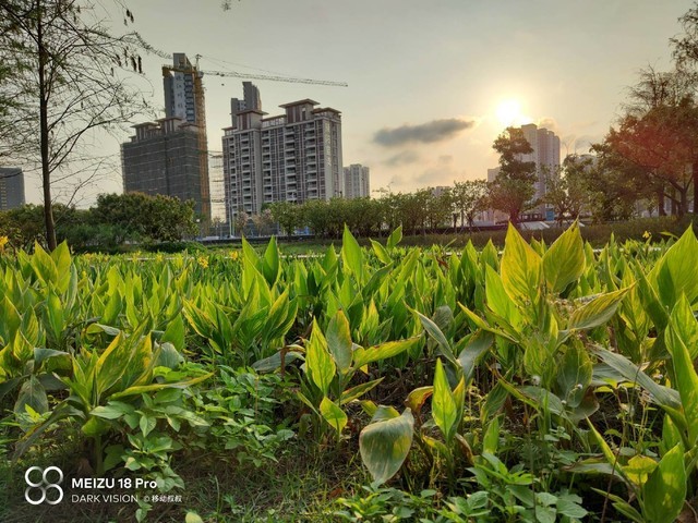 魅族18pro的随手拍样张