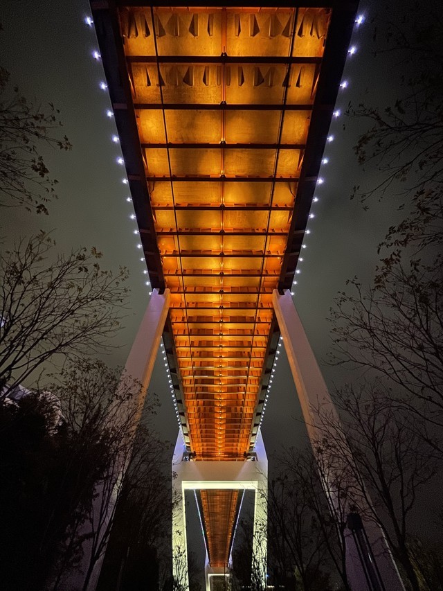 iphone 12 pro,令我印象深刻的除了外观手感,那就是拍照了