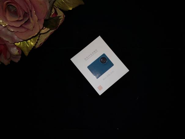 ˶㣬- SEABIRD˶