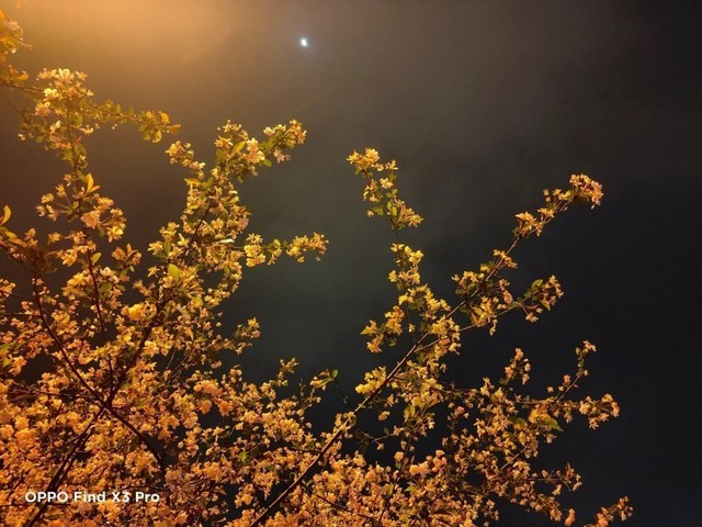 10亿色OPPO Find X3 Pro,寻找杭州色彩之美