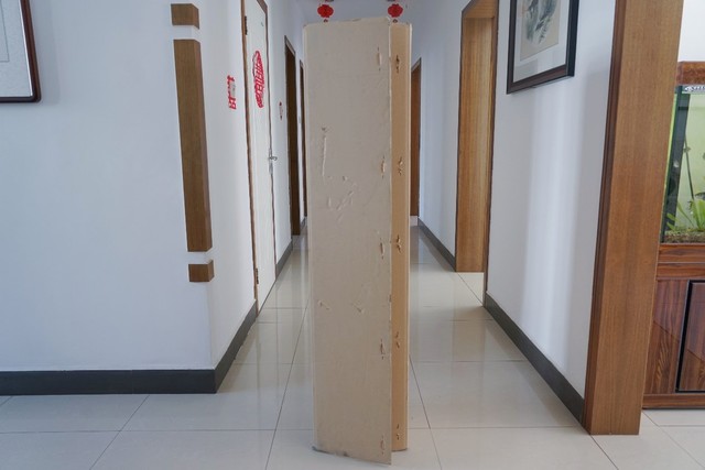 投影效果不理想?菲斯特S1画卷光学屏,给你清晰观感-中关村在线头条