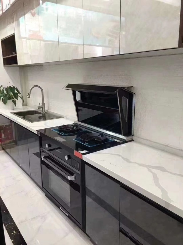 卫生可靠,帅丰荣耀s63蒸烤一体机,让小馋猫爱回家