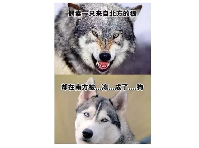 죬ûů人