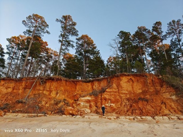vivo x60的拍照也非常了得了啊