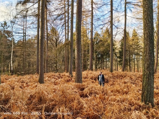 vivo x60的拍照也非常了得了啊