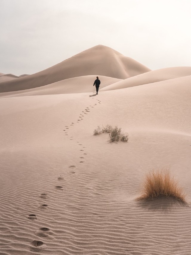 分享一张很酷的沙漠背影