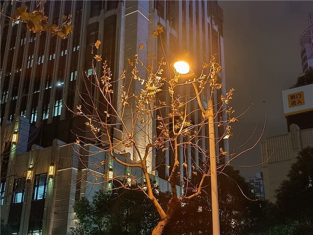 realme真我V15测评:媲美旗舰机,50W闪充超速了