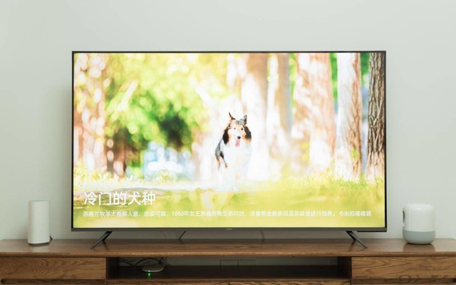 关于OPPO首款智能电视R1,我和家里人有这些评价