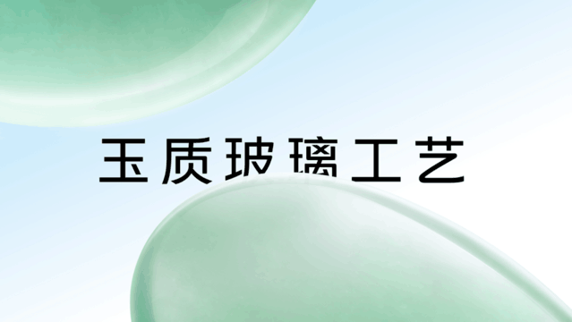 ˫ t vivo S16ϵֻʽ