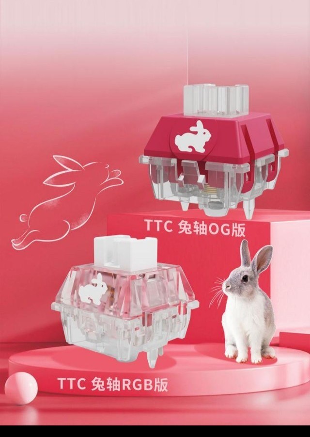 Ӷ TTCФî